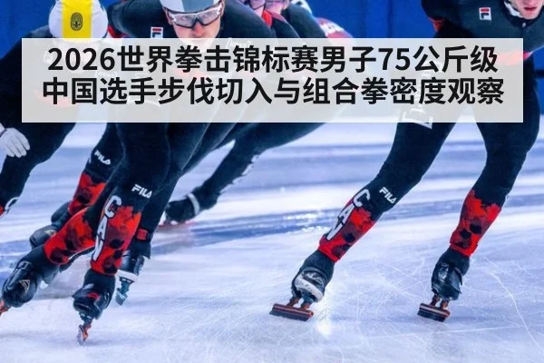 2026世界拳击锦标赛男子75公斤级中国选手步伐切入与组合拳密度观察